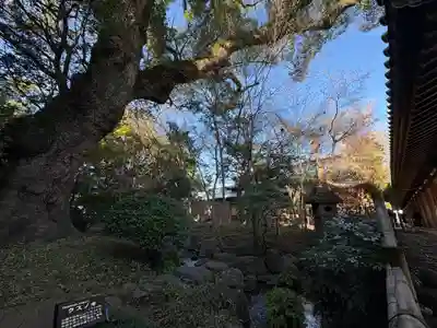 三嶋大社(静岡県)