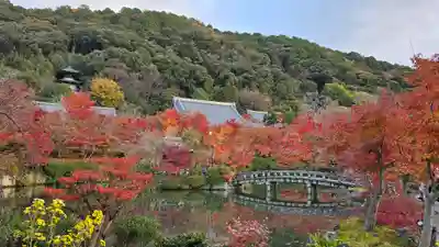 禅林寺(永観堂)(京都府)