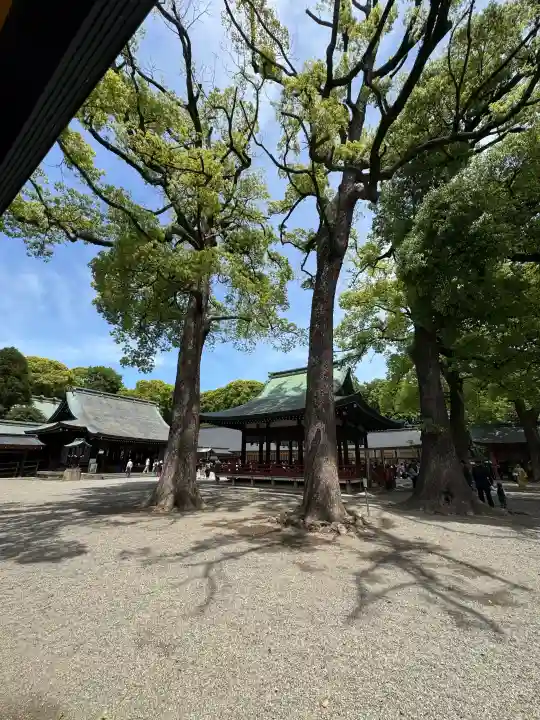 武蔵一宮氷川神社の{uncategorized: "未分類", other: "その他", undefined: "問題あり", building: "その他建物", grave: "お墓", sacred_gate: "鳥居", guardian: "狛犬", statue: "像", buddha: "仏像", history: "歴史", nature: "自然", garden: "庭園", animal: "動物", pagoda: "塔", temizu: "手水舎", mountain_gate: "山門・神門", sanctuary: "本殿・本堂", subordinate: "末社・摂社", art: "芸術", scenery: "景色", jizo: "地蔵", ema: "絵馬", goshuin: "御朱印", omikuji: "おみくじ", items: "授与品その他", amulet: "お守り", goshuincho: "御朱印帳", eats: "食事", festival: "お祭り", votive_dance: "神楽", shichigosan: "七五三参", wedding: "結婚式", experience: "体験その他", initially: "初詣", around: "周辺", anti_infection: "感染症対策"}