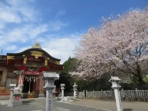 加波山神社真壁拝殿の本殿・本堂