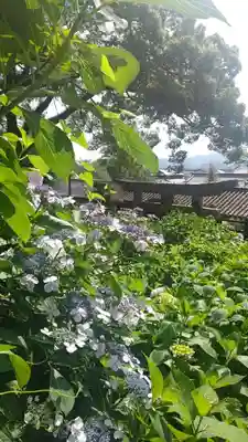 吉備津神社(岡山県)