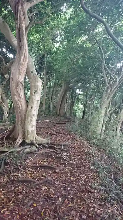 荒嶋神社の自然