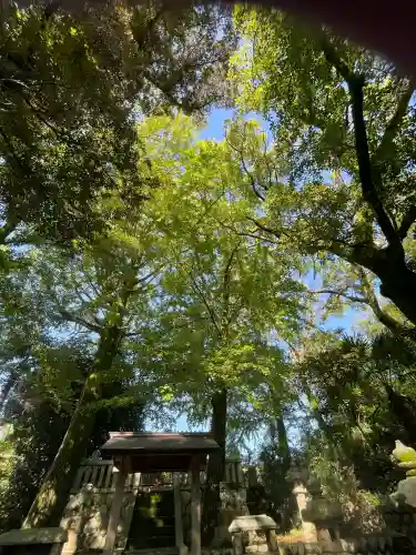 若宮神明社(愛知県)