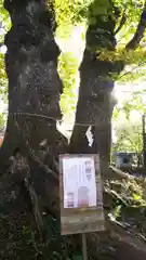 諏訪神社の建物その他