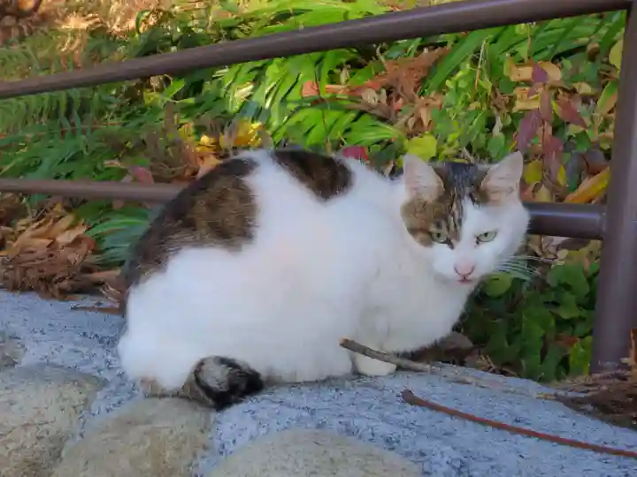 大岩山 最勝寺(栃木県)