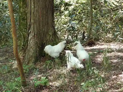 公時神社(神奈川県)