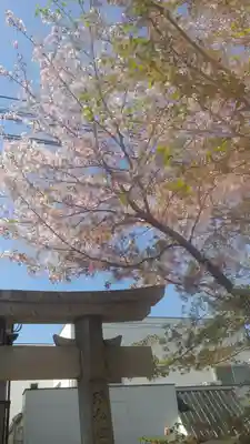 網屋天満宮の自然