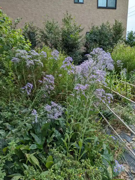 玉田神社(京都府)