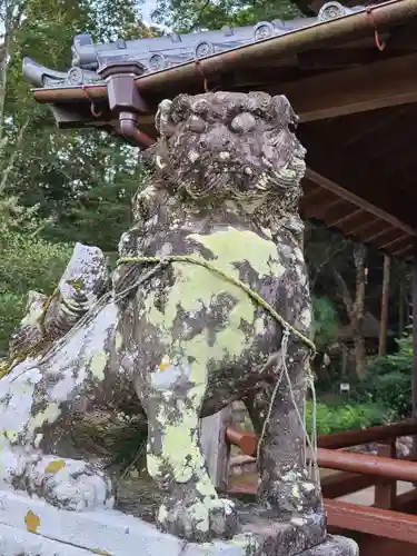 波佐美神社の狛犬