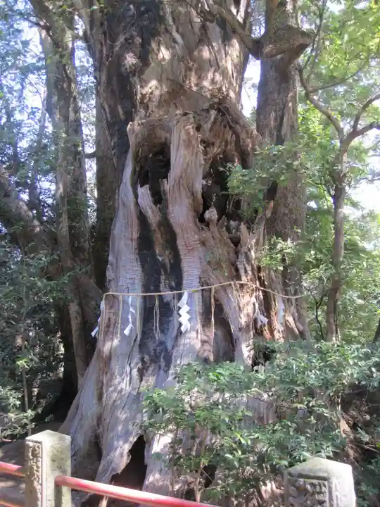 神崎神社(千葉県)