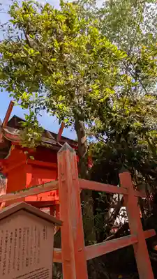 春日大社(奈良県)