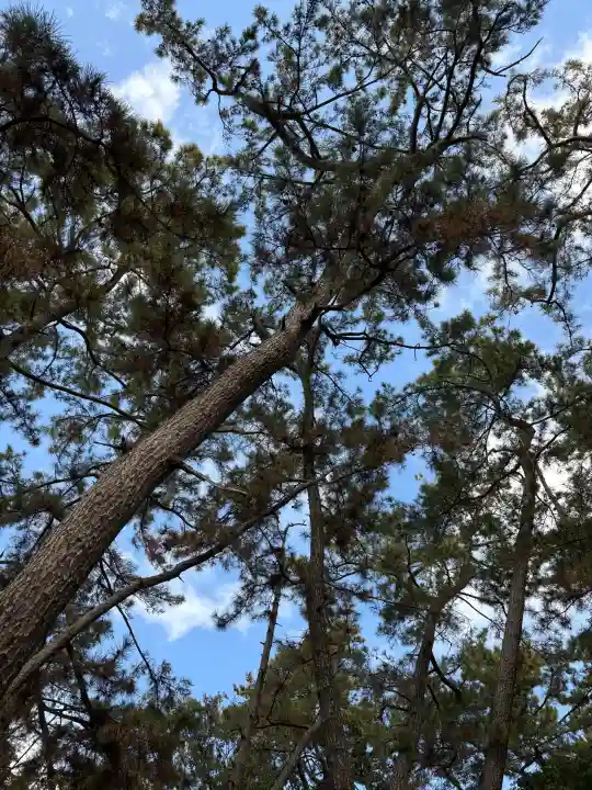 熊野神社の自然