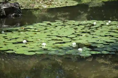 平安神宮の庭園