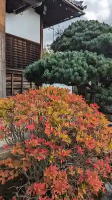 妙満寺(京都府)