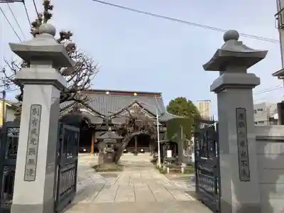 大圓寺(東京都)