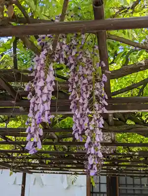 六孫王神社(京都府)