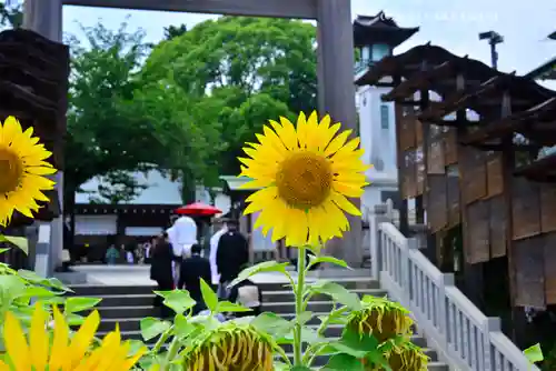 伊勢山皇大神宮(神奈川県)