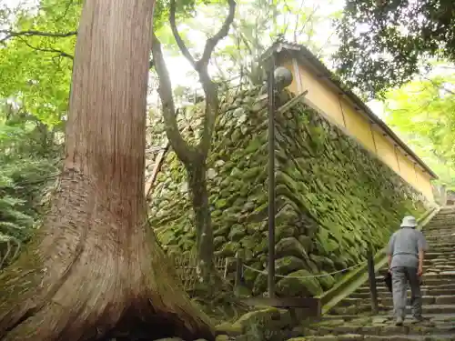 西明寺の建物その他