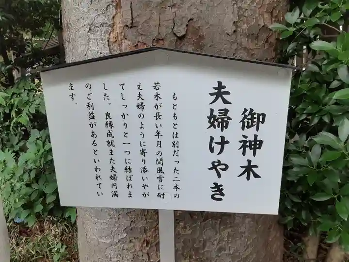 阿佐ヶ谷神明宮(東京都)