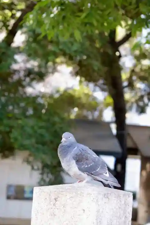 金王八幡宮(東京都)