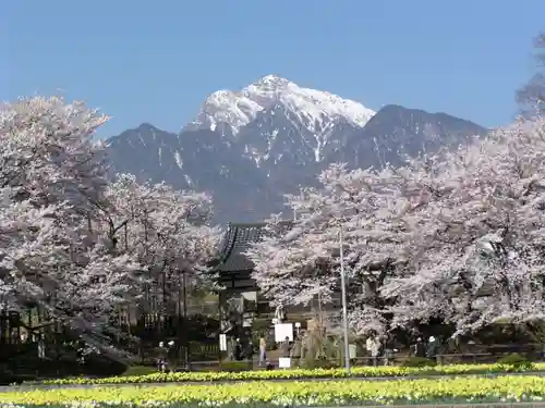 実相寺の景色