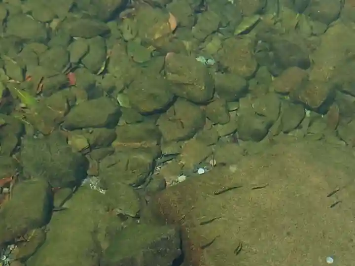 伊勢神宮内宮(皇大神宮)の景色
