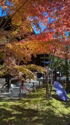 勝林寺(京都府)