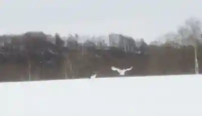 塘路神社の仏像