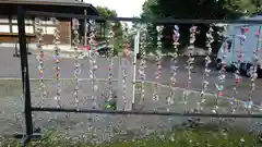 函館八幡宮のおみくじ