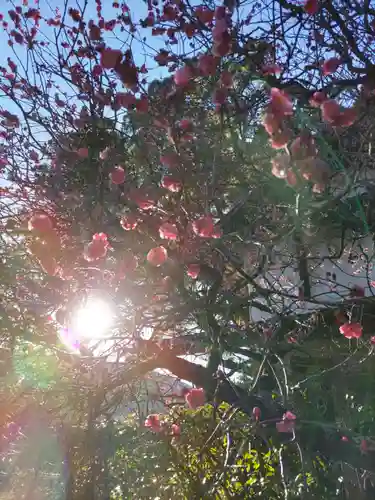 海禅寺の庭園