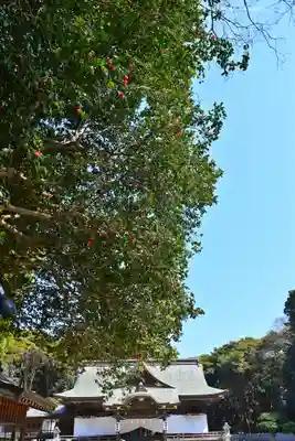 酒列磯前神社(茨城県)