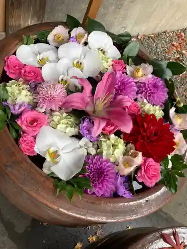 多賀神社の手水