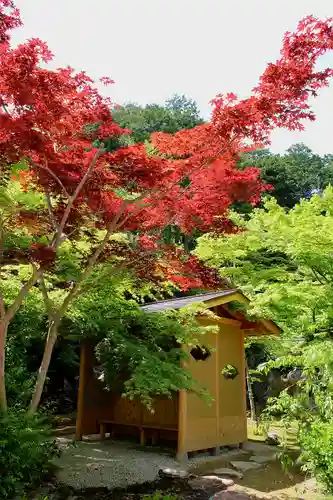 瓦屋寺(滋賀県)