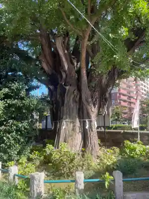 磐井神社(東京都)