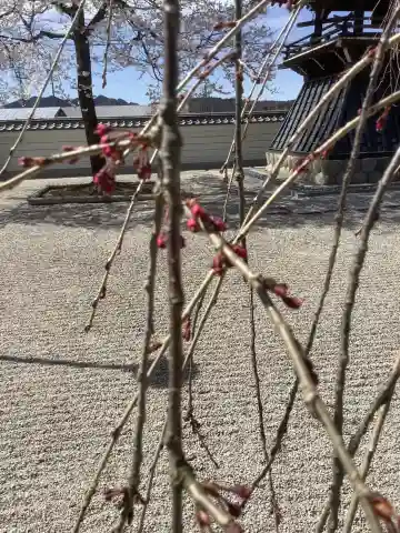 長蔵寺(岐阜県)