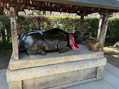 北野天満宮の{uncategorized: "未分類", other: "その他", undefined: "問題あり", building: "その他建物", grave: "お墓", sacred_gate: "鳥居", guardian: "狛犬", statue: "像", buddha: "仏像", history: "歴史", nature: "自然", garden: "庭園", animal: "動物", pagoda: "塔", temizu: "手水舎", mountain_gate: "山門・神門", sanctuary: "本殿・本堂", subordinate: "末社・摂社", art: "芸術", scenery: "景色", jizo: "地蔵", ema: "絵馬", goshuin: "御朱印", omikuji: "おみくじ", items: "授与品その他", amulet: "お守り", goshuincho: "御朱印帳", eats: "食事", festival: "お祭り", votive_dance: "神楽", shichigosan: "七五三参", wedding: "結婚式", experience: "体験その他", initially: "初詣", around: "周辺", anti_infection: "感染症対策"}