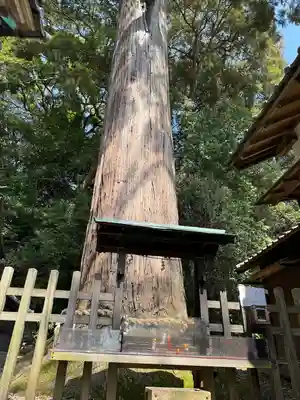 事任八幡宮(静岡県)