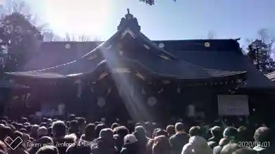 大國魂神社の初詣