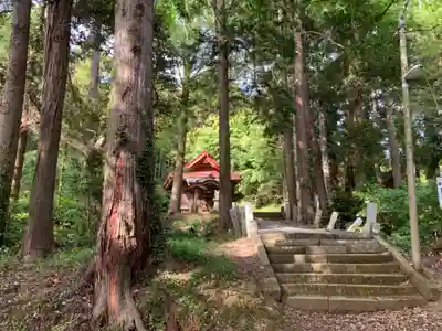 前玉神社(千葉県)