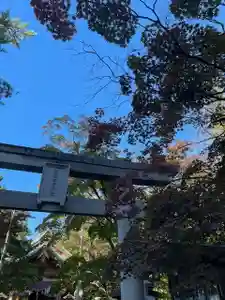 彌彦神社 (伊夜日子神社)の鳥居(2024年10月14日(月) 09時27分17秒投稿)