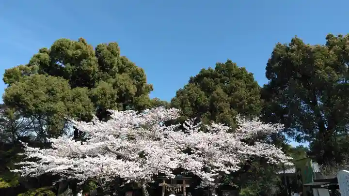 丹生官省符神社の自然