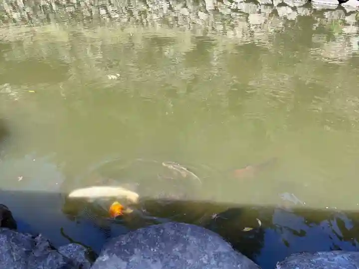 妙義神社(群馬県)