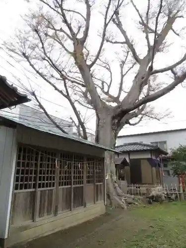 龍ケ崎八坂神社(茨城県)