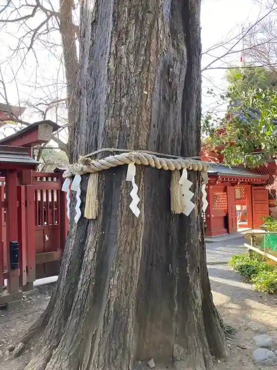 秩父神社(埼玉県)