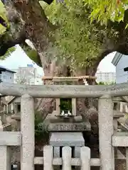 杭全神社(大阪府)