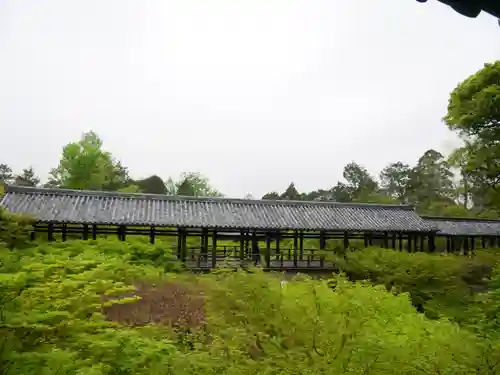 東福禅寺（東福寺）の自然