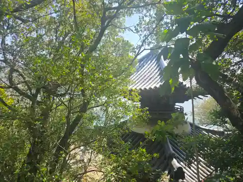 海禅院(和歌山県)