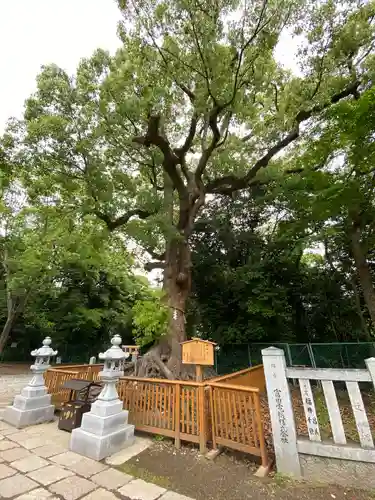 和泉國一之宮　大鳥大社の自然