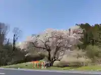 宇賀神さま(福島県)