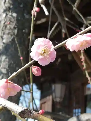 境香取神社の自然